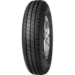 205/55 R16 91 V Fortuna Ecoplus hp