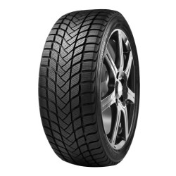 205-55 R17 95 H Delinte Wd6