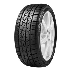 165-70 R13 79 T Delinte Aw5