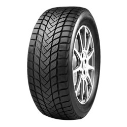 215/50 R17 95 H Mastersteel Winter plus