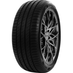 245/45 R18 100 W Delinte Ds2