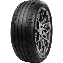 255-55 R18 109 W Delinte Ds2suvxl