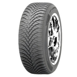 205/45 R16 87 W Goodride Z 401
