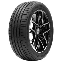 225/55 R16 99 W Mastersteel Prosport 2