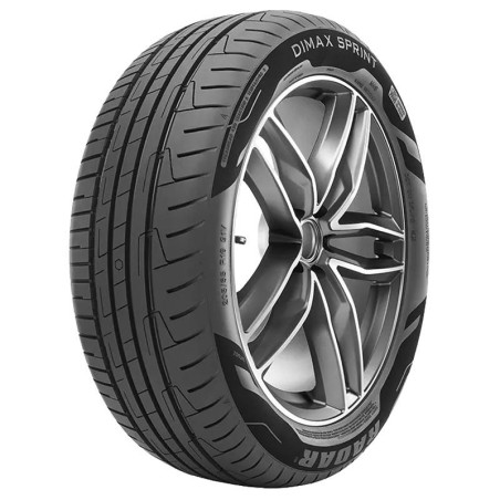 195-50 R15 86 V Radar Dimax Sprint Evc